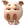 bq74