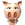 bq79