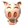 bq80