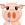 bq84