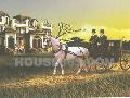 �׶�town